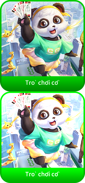 card 05