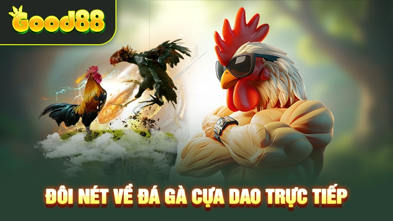 Tìm hiểu bộ môn đá gà cựa dao trực tiếp