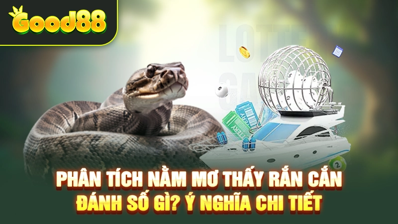 Phân Tích Nằm Mơ Thấy Rắn Cắn Đánh Số Gì? Ý Nghĩa Chi Tiết