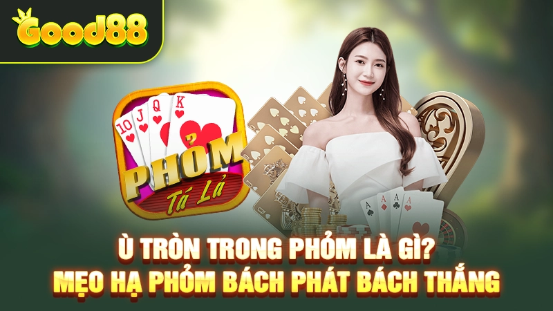 Ù Tròn Trong Phỏm Là Gì? Mẹo Hạ Phỏm Bách Phát Bách Thắng