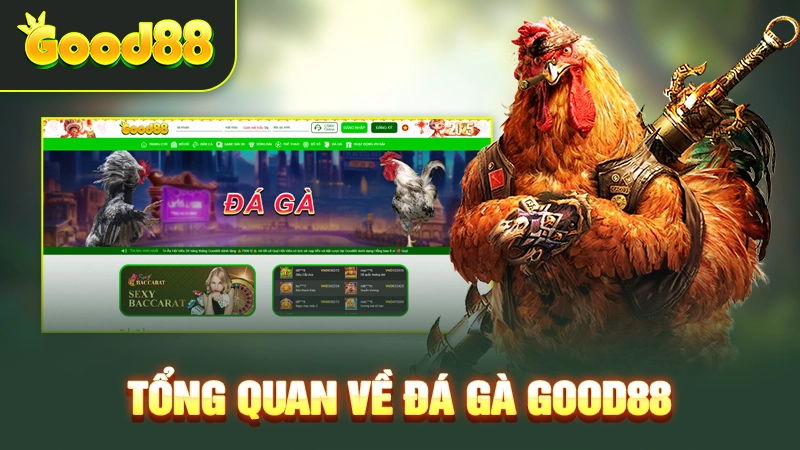 Tổng quan về đá gà Good88
